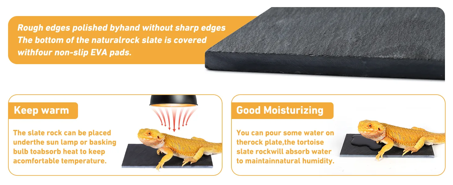 Natural rock slate for bearded dragons with non-slip EVA pads, heat absorption, and moisture retention features.