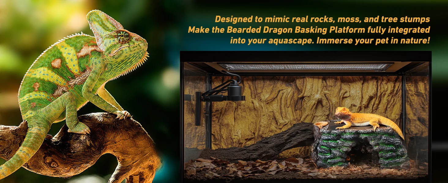Bearded Dragon Basking Platform mimicking rocks and moss in aquarium setup with lizard on platform