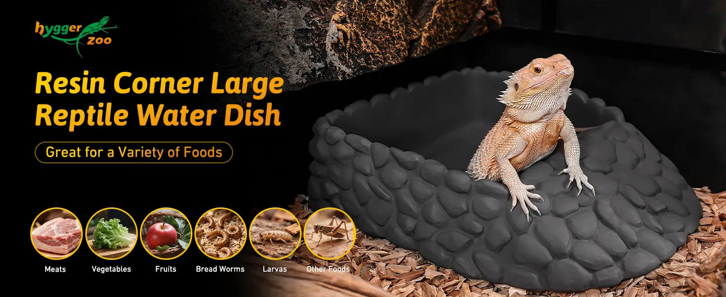 Resin corner water dish for reptiles with bearded dragon on stone-like base, showing food options like meats, veggies, and in
