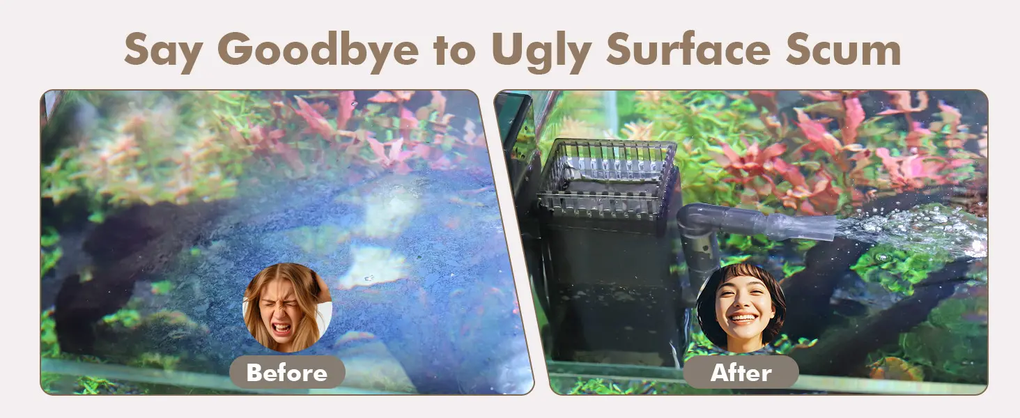 Before and after comparison of aquarium surface scum removal with Hygger product