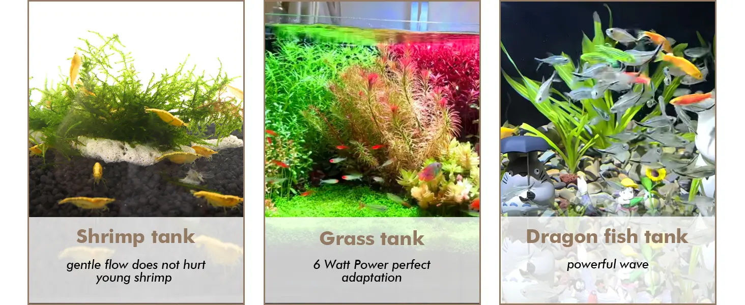 Three aquarium types: shrimp tank with gentle flow, grass tank with 6W power, dragon fish tank with powerful wave