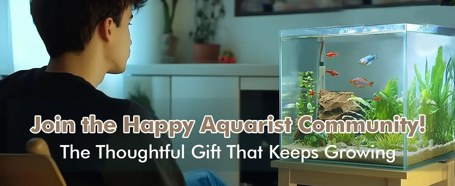 A man gazes at a vibrant aquarium filled with colorful fish and lush plants, promoting the Happy Aquarist Community.