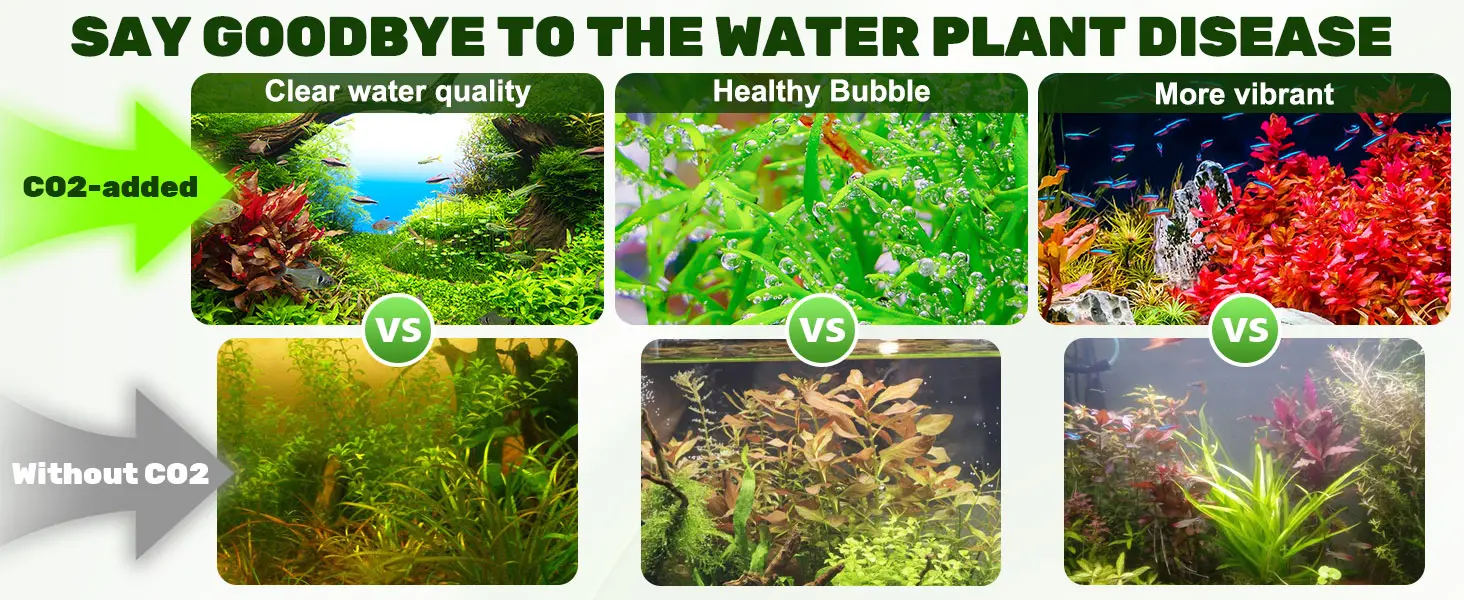 Compare CO2-added vs. no CO2 aquariums: clear water, healthy bubbles, vibrant plants vs. murky water, weak growth, dull color
