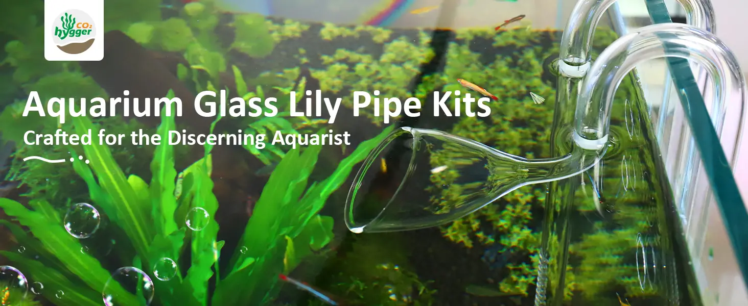 Hygger Aquarium Glass Lily Pipe Kits in a vibrant tank with lush plants and fish