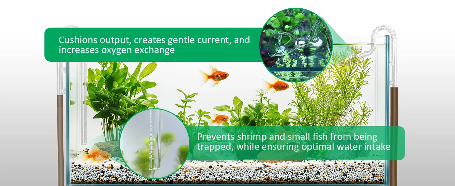 Hygger aquarium filter with gentle current, oxygen exchange, and shrimp protection features