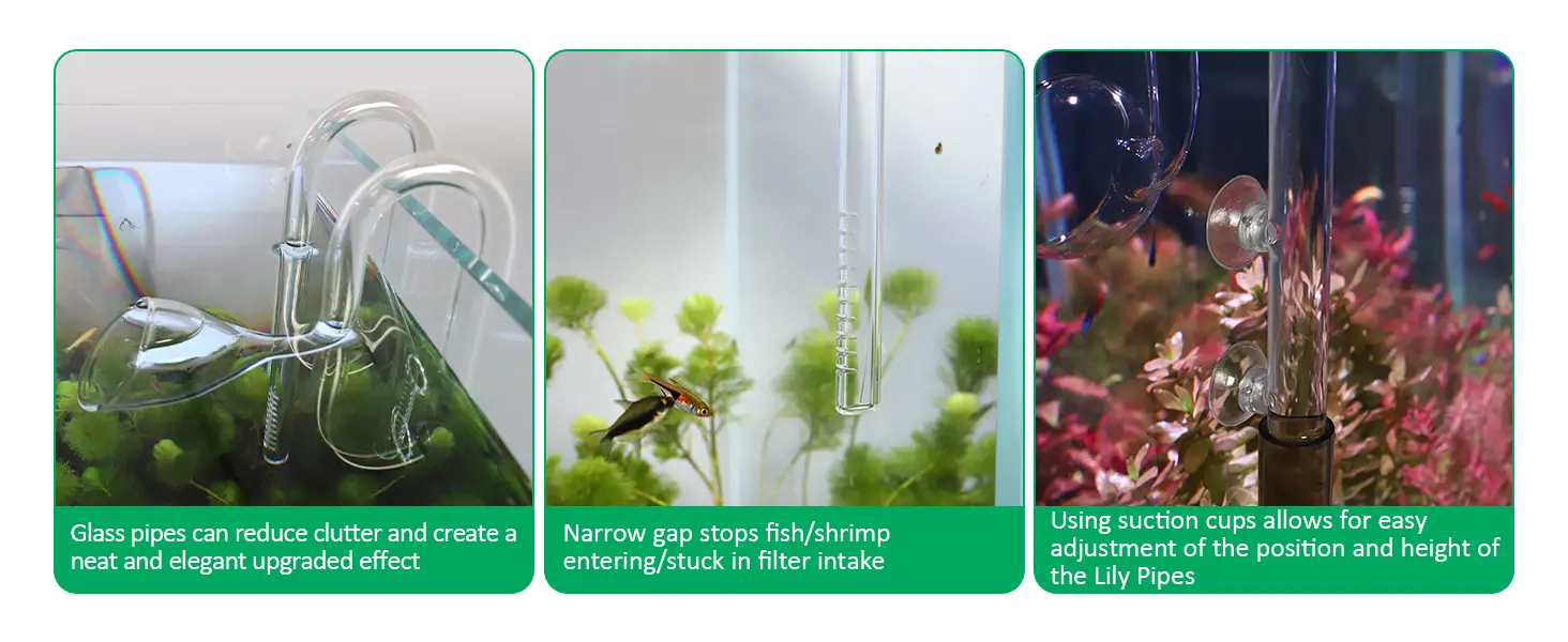 Hygger Lily Pipes: Glass aquarium filters with suction cups, narrow gaps, and clutter-free design for fish tanks