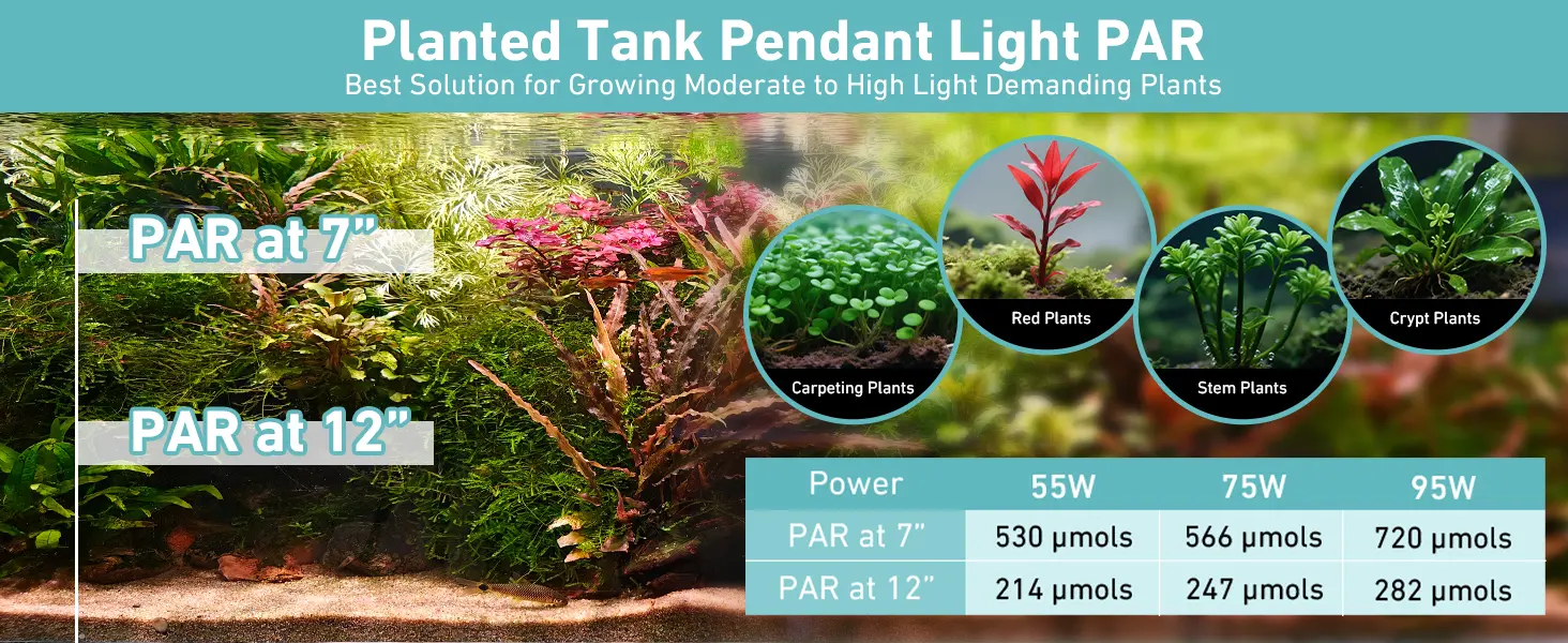 Planted tank pendant light PAR chart showing PAR values at 7" and 12" for 55W, 75W, and 95W models with plant types like carp