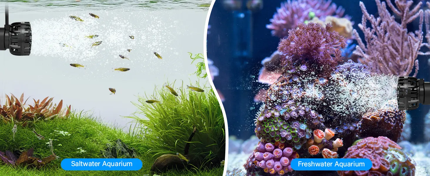 Hygger aquariums showcase saltwater and freshwater setups with vibrant fish, plants, and coral. Ideal for hobbyists.