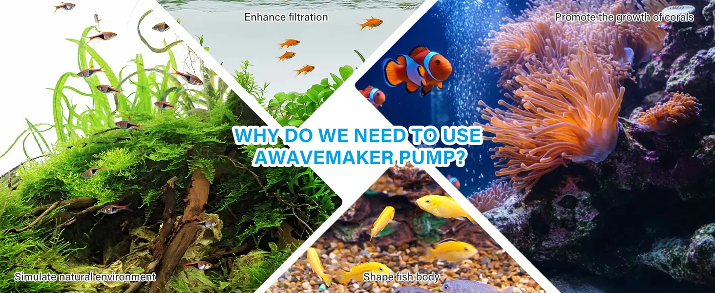Why use a wavemaker pump? Enhance filtration, promote coral growth, simulate natural environment, and shape fish body in aqua