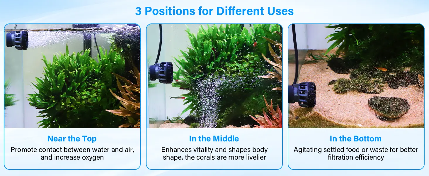 Hygger aquarium air pump in three positions: top, middle, and bottom for oxygenation, coral vitality, and waste filtration