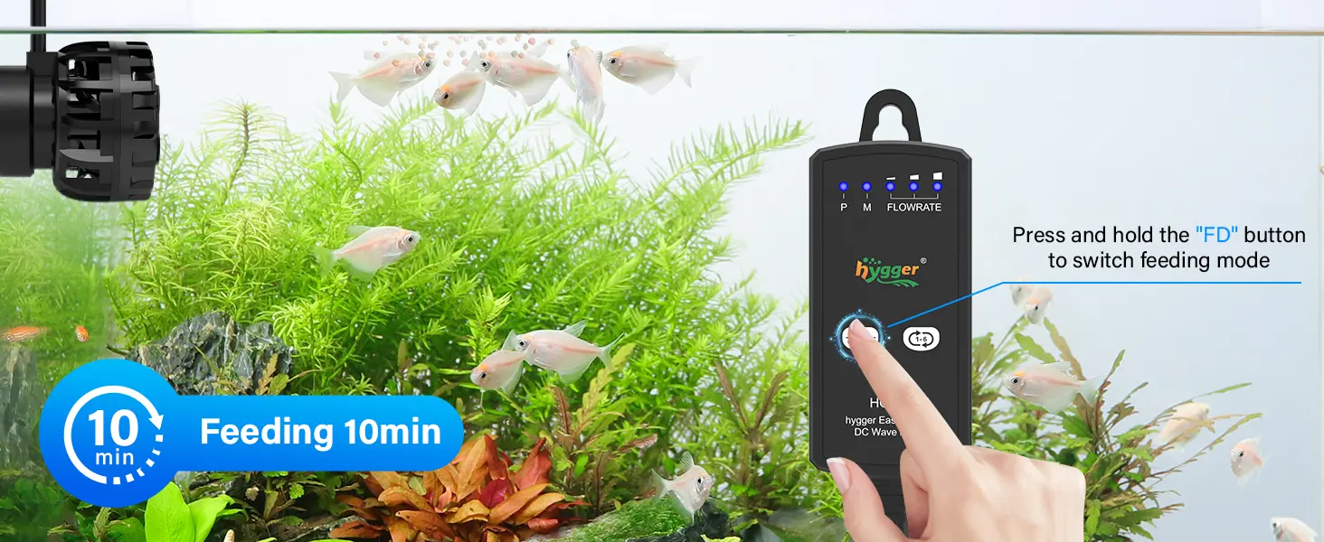 Hygger aquarium feeder control showing feeding mode switch with 10-minute timer and fish tank setup