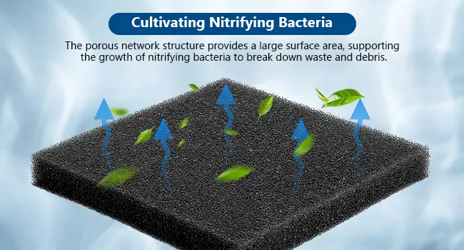 Hygger aquarium filter media with porous structure supporting nitrifying bacteria growth for waste breakdown