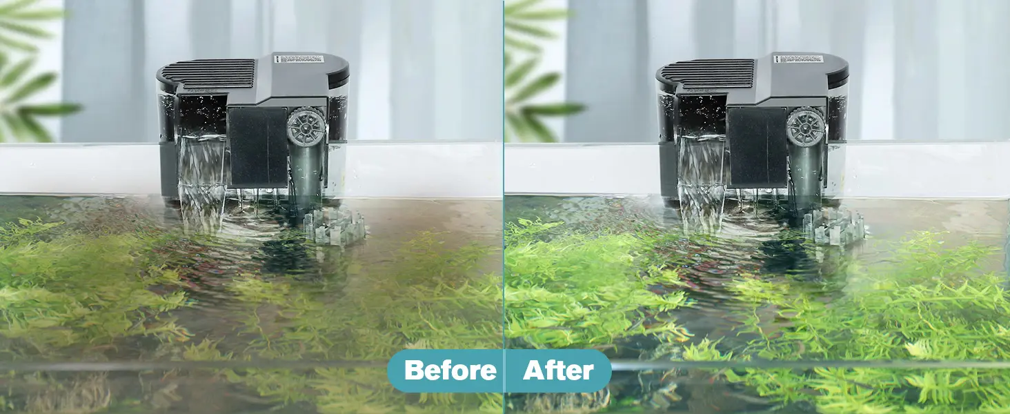 Before and after comparison of aquarium water clarity with Hygger filter system showing improved water quality and lush aquat