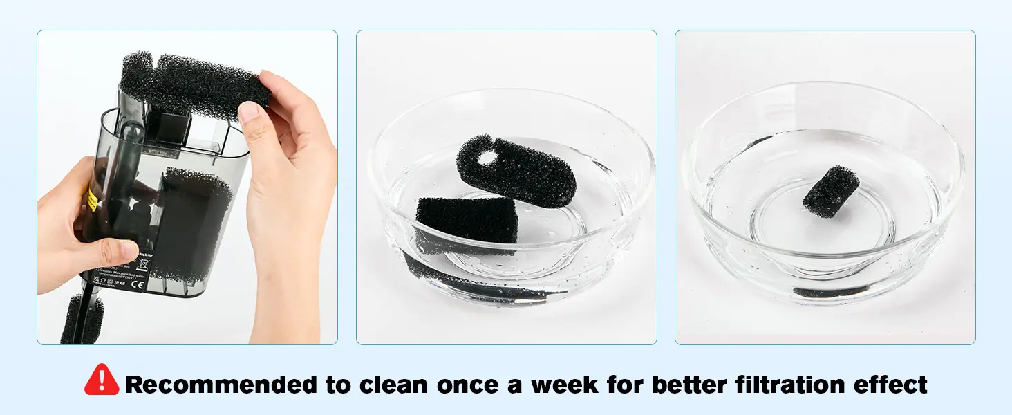 Step-by-step guide to cleaning aquarium filter media with sponge and water for optimal filtration