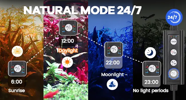 Hygger aquarium natural mode 24/7 with sunrise, daylight, moonlight, and no light periods for optimal fish health
