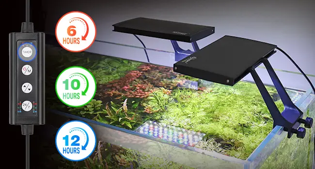 Hygger aquarium LED light system with adjustable timer settings for 6, 10, and 12 hours of plant growth lighting in a freshwa