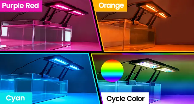Hygger aquarium LED lights in Purple Red, Orange, Cyan, and Cycle Color modes illuminating clear tanks for vibrant aquatic di