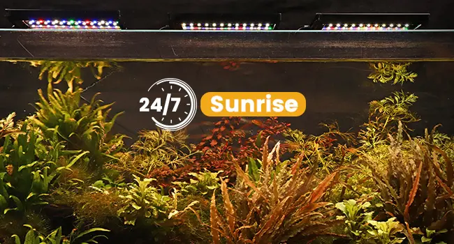 Hygger Aquarium with 24/7 Sunrise lighting, lush aquatic plants, and vibrant ecosystem for home aquarium enthusiasts.
