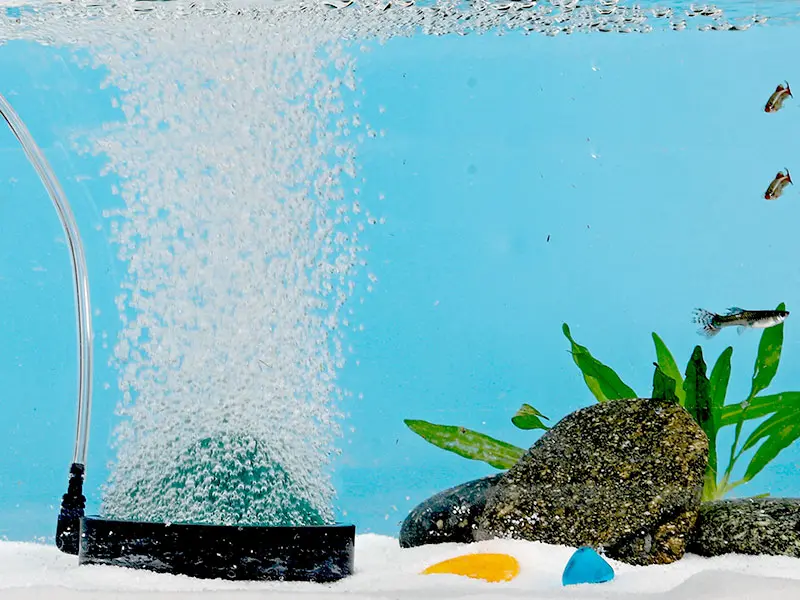 Hygger aquarium with bubbling filter, colorful fish, and aquatic plants in a clean blue tank