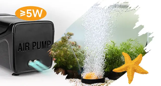 Hygger Air Pump for Aquariums: >5W Power, Bubble Creation, and Aquatic Plant Support