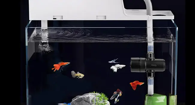 Hygger aquarium with fish, plants, and filtration system for home decoration