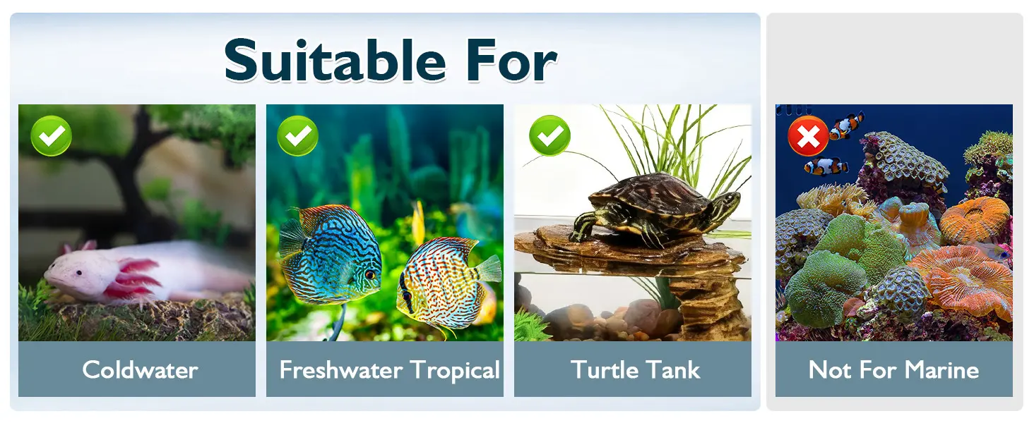 Image showing suitable aquarium environments: Coldwater, Freshwater Tropical, Turtle Tank, and Not For Marine with check and
