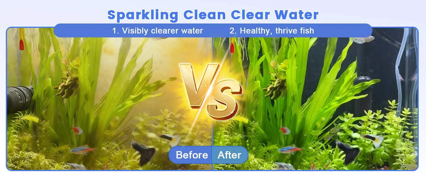 Before and after comparison of aquarium water clarity and fish health with Hygger products
