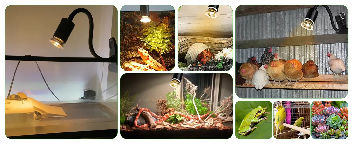Hygger aquarium LED heat lamp for reptiles, birds, and small pets with adjustable brightness and temperature control.
