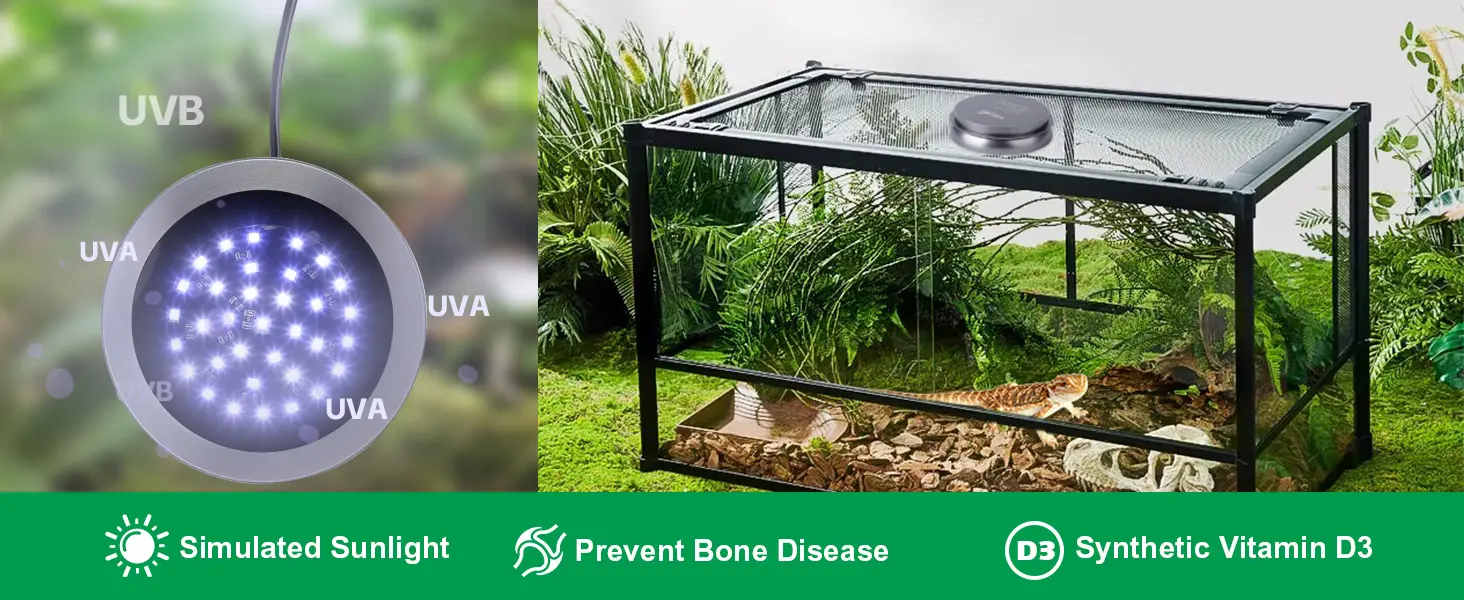 Hygger UVB/UVA reptile light fixture with simulated sunlight for bearded dragons, preventing bone disease and providing synth