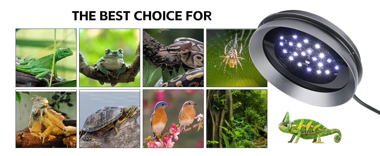 LED aquarium lighting for reptiles and amphibians, featuring lizards, frogs, snakes, spiders, turtles, birds, and chameleons