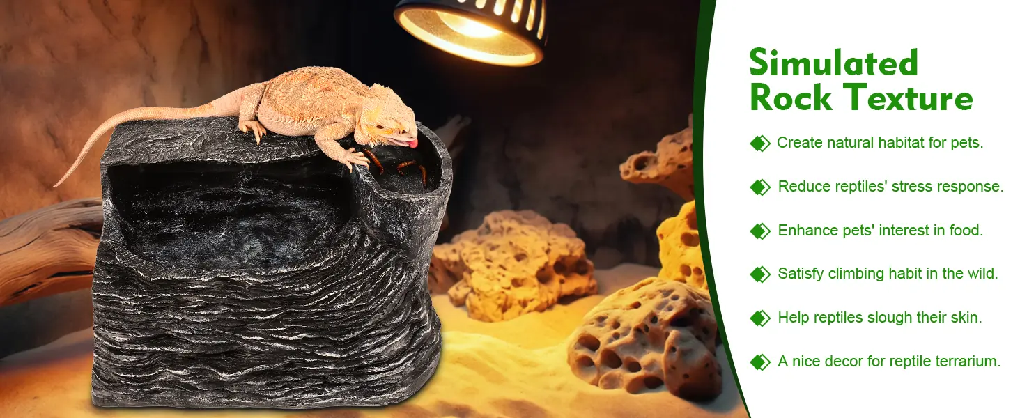 Simulated rock texture for reptile terrarium with bearded dragon on top, promoting natural habitat and stress reduction.