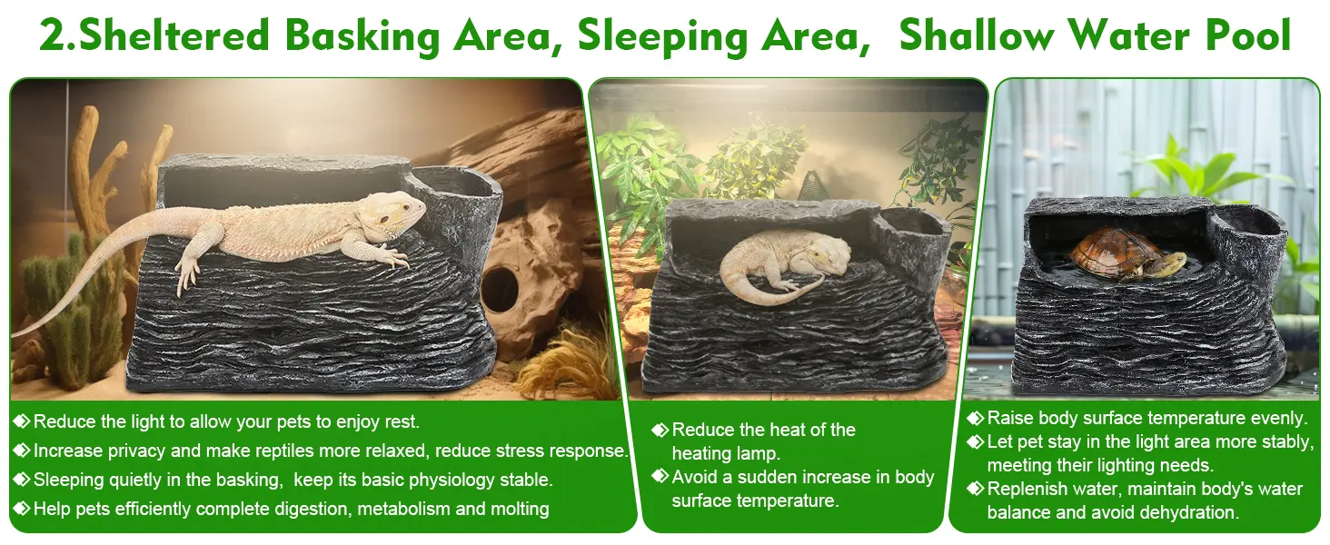 Hygger aquarium features a sheltered basking area for reptiles, providing a sleeping zone and shallow water pool for hydratio