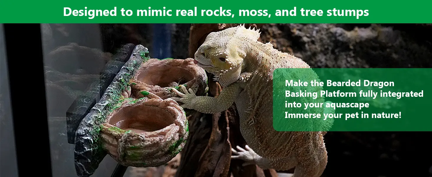 Bearded Dragon basking platform mimicking rocks and moss in aquarium aquascape