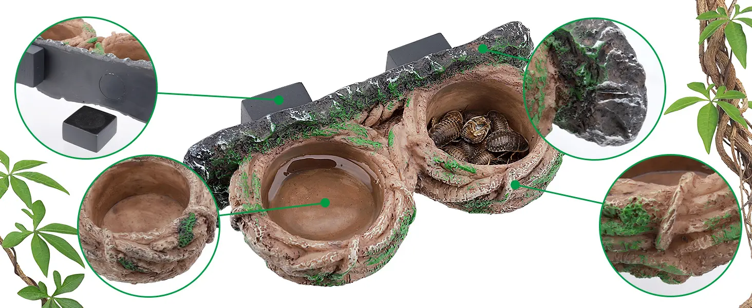 Hygger aquarium terrarium with water bowl, food bowl, and snail habitat for reptiles, featuring natural rock design and green