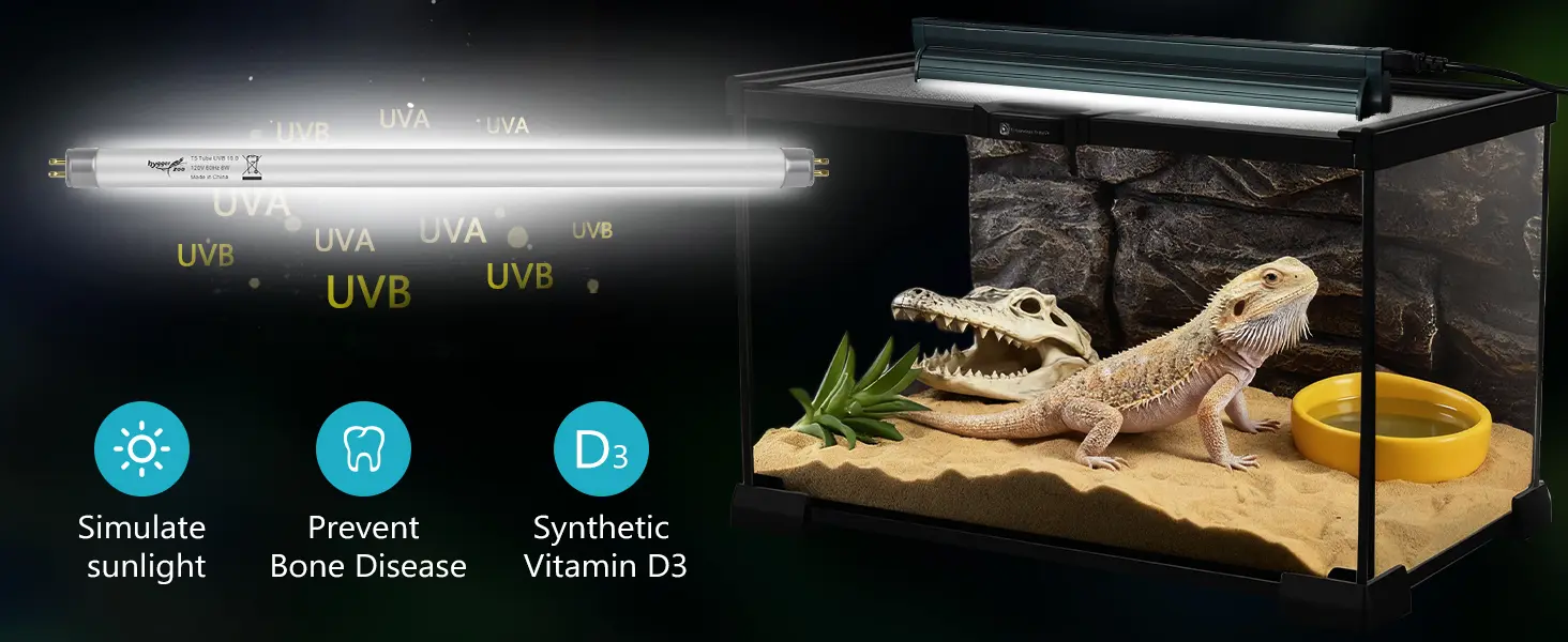 Hygger UVB light for bearded dragons, simulating sunlight, preventing bone disease, and providing synthetic Vitamin D3 in a t