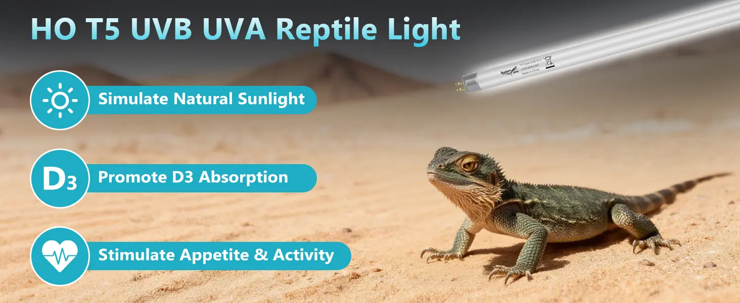 HO T5 UVB UVA Reptile Light bulb for bearded dragon, simulate natural sunlight, promote D3 absorption, stimulate appetite & a