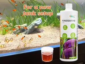 Hygger Purifiedest Fish Tank Setup Kit with water conditioner and starter food for new aquariums