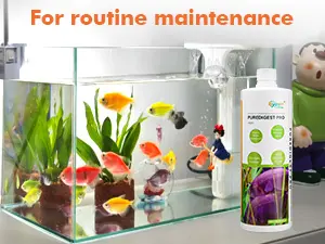 Hygger aquarium maintenance kit with fish, plants, and cleaner bottle for routine care