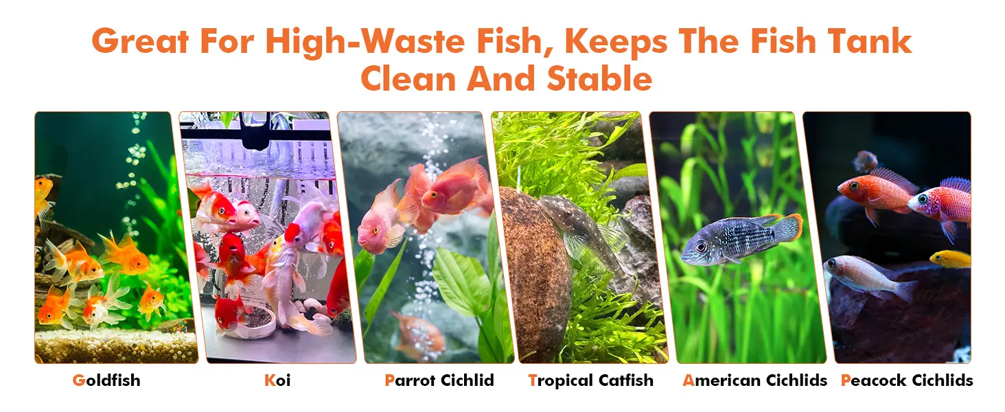 Image showing various fish types like Goldfish, Koi, Parrot Cichlid, Tropical Catfish, American Cichlids, and Peacock Cichlid