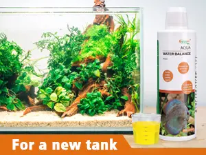 Hygger aquarium setup with lush plants, driftwood, and water quality test kit for new tank preparation