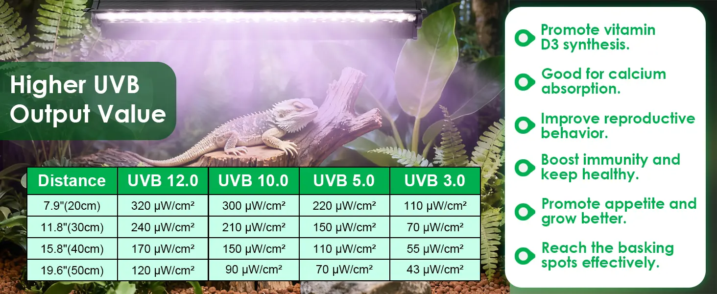UVB light intensity chart for bearded dragons showing higher output values at different distances with benefits like vitamin