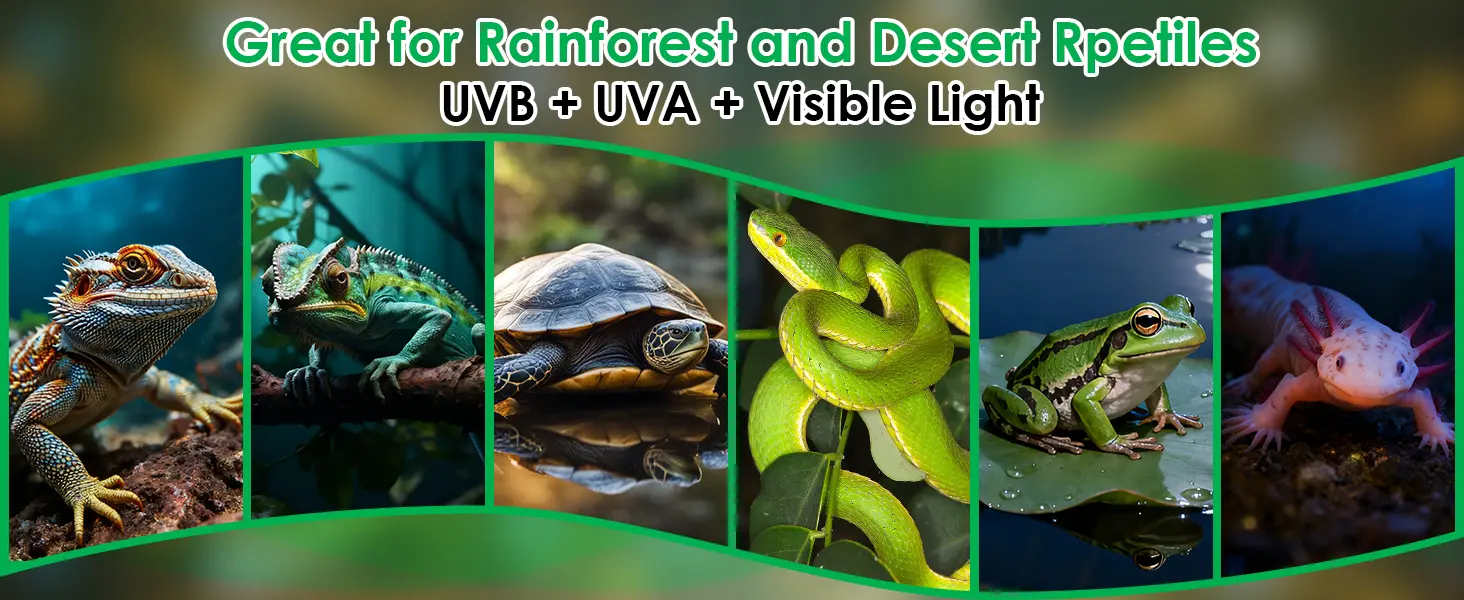 UVB + UVA + Visible Light reptile lighting for rainforest and desert species including bearded dragons, chameleons, turtles,