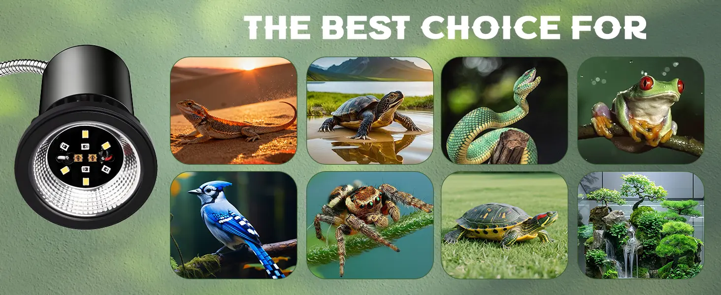 LED aquarium light for reptiles and amphibians with adjustable settings, showcasing bearded dragons, turtles, snakes, frogs,