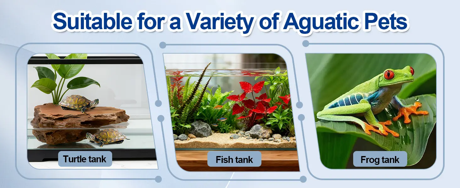 Hygger aquarium suitable for turtles, fish, and frogs with lush plants and natural habitats