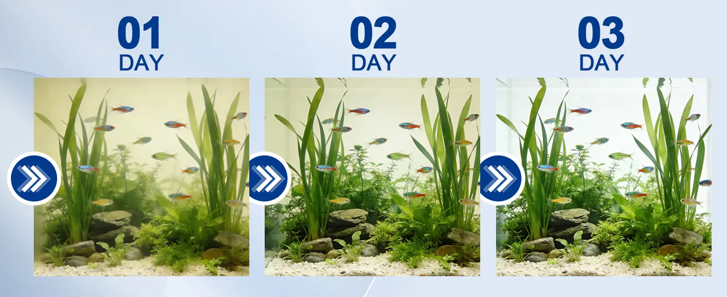 Hygger aquarium setup progression showing day 1 to day 3 with plants, fish, and gravel