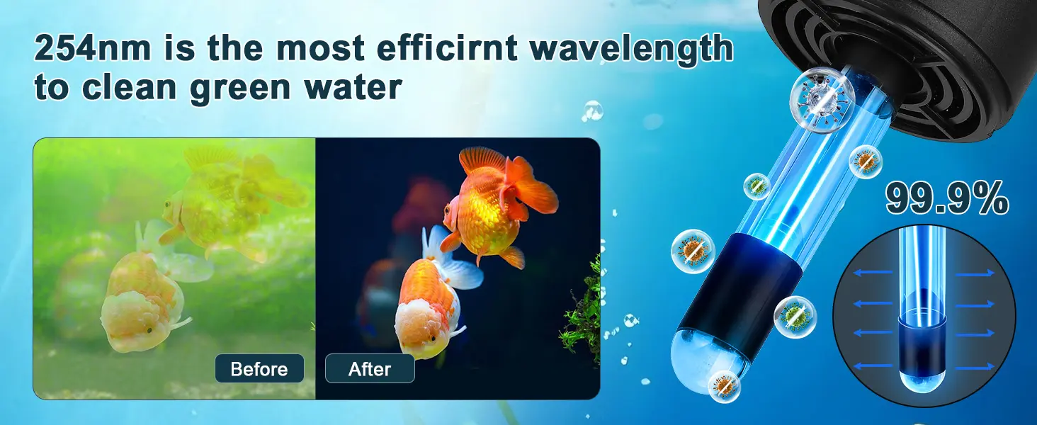 Hygger UV sterilizer with 254nm wavelength cleaning green water in aquariums before and after comparison