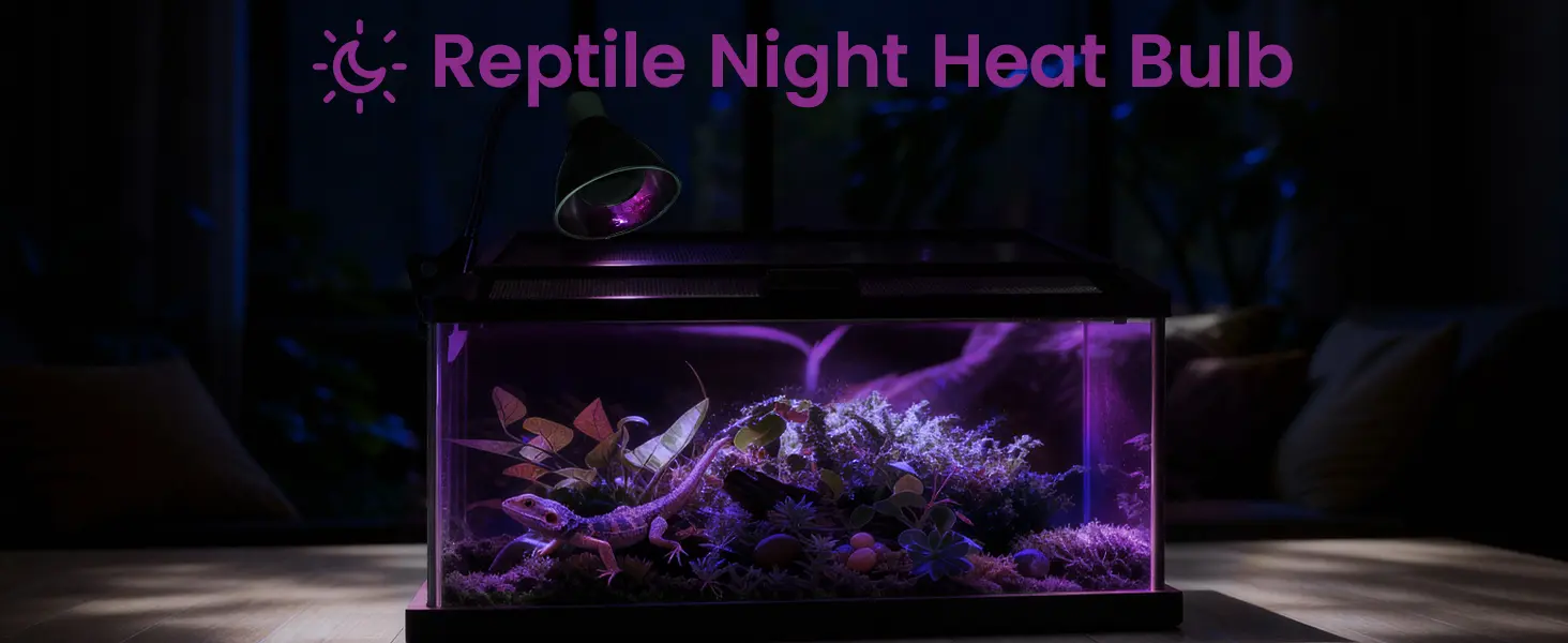 Reptile Night Heat Bulb illuminating a terrarium with a bearded dragon, plants, and purple lighting in a dark room.