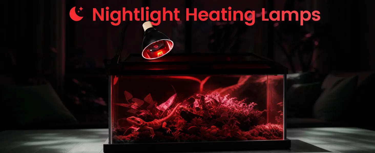 Nightlight heating lamp for reptile terrarium with red glow and plants