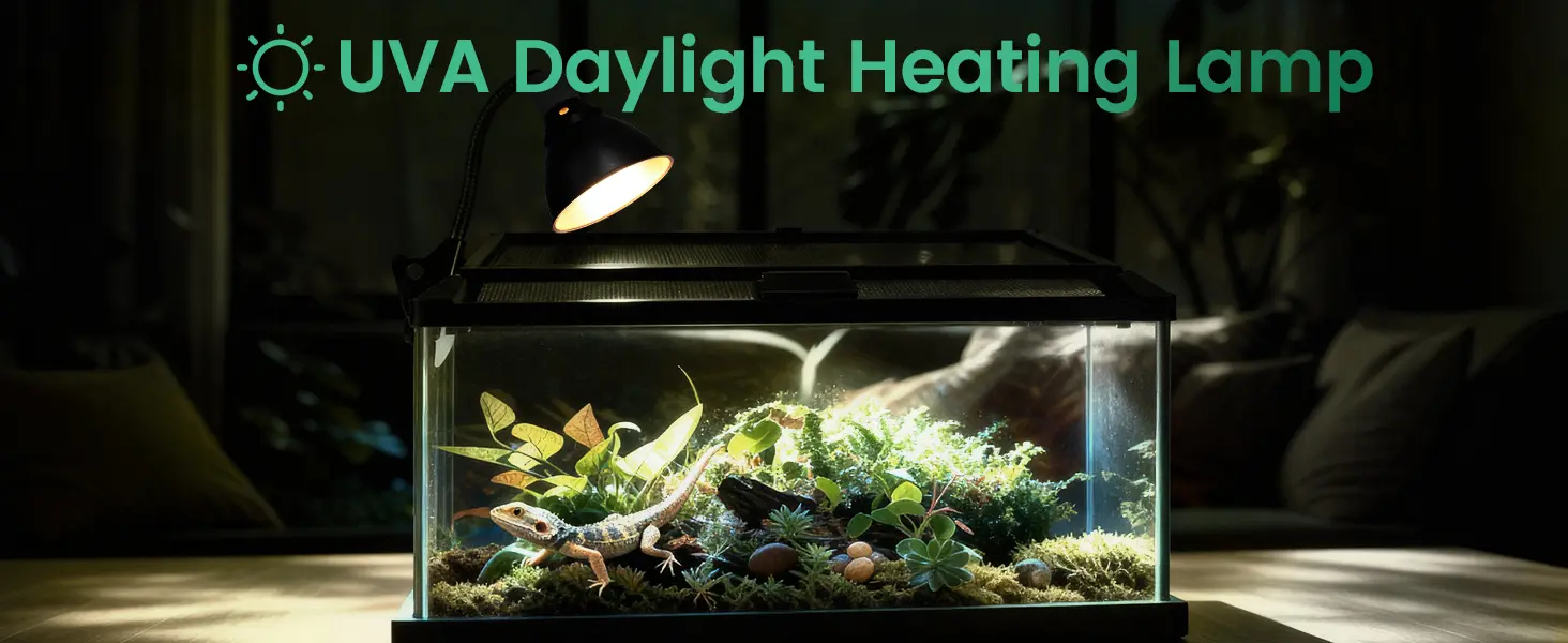 UVA Daylight Heating Lamp for bearded dragon terrarium with plants and natural habitat