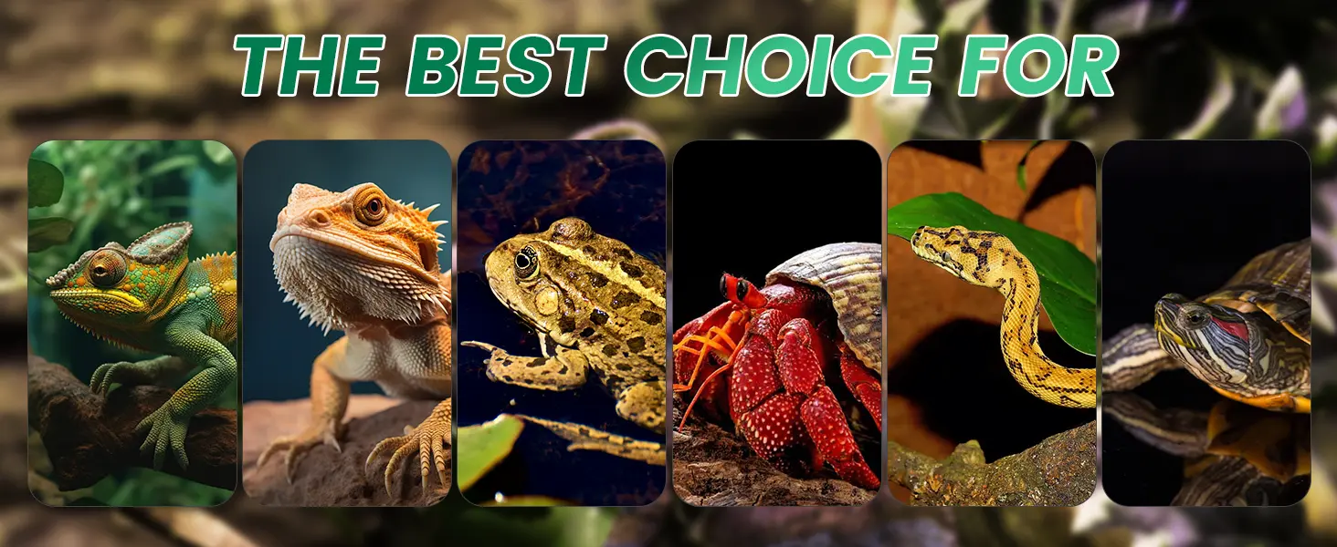 A vibrant collage of diverse reptiles and amphibians, including chameleons, bearded dragons, frogs, and turtles, showcasing i